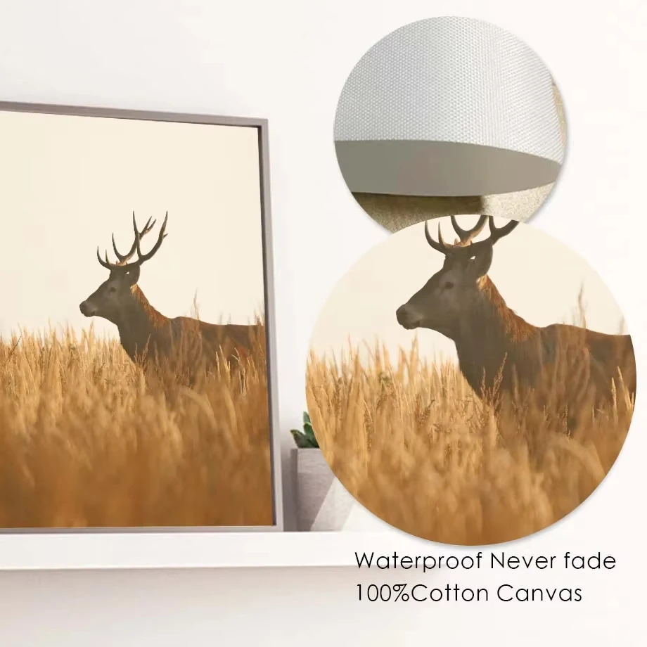 Осенняя пшеничная белка лес лиса олень стена искусство канвалайнговые