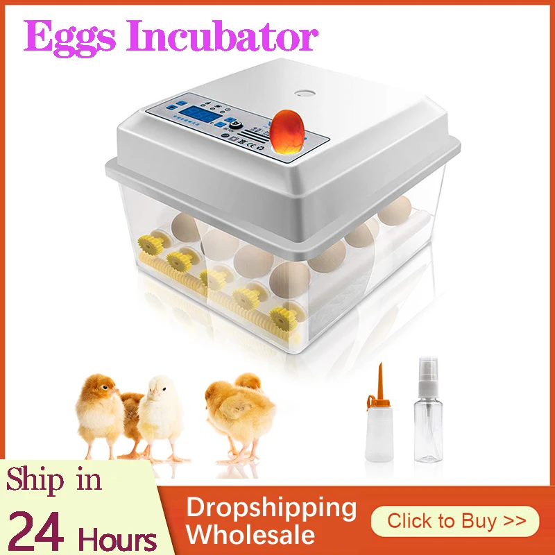 

Eggs Incubator 16 Eggs Digita Mini Automatie Incubatores With Turner For Hatching Turkey Goose Quail Chicken Egg Hatcher Machine