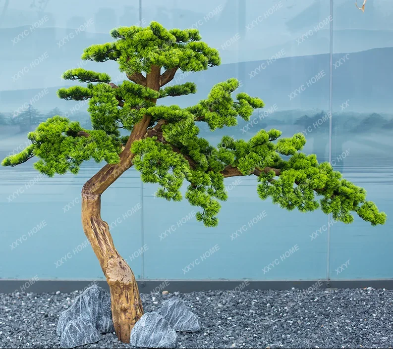 Иньке Сосна Поддельные Деревья Моделирование Красота Бонсай Podocarpus Макрофилл