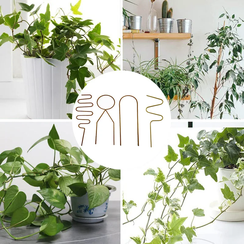 Металлический каркас для вьющихся растений, поддерживающая железная конструкция для цветов, листьев, стержень для кадки и поддержки внутри помещения, аксессуары для сада.