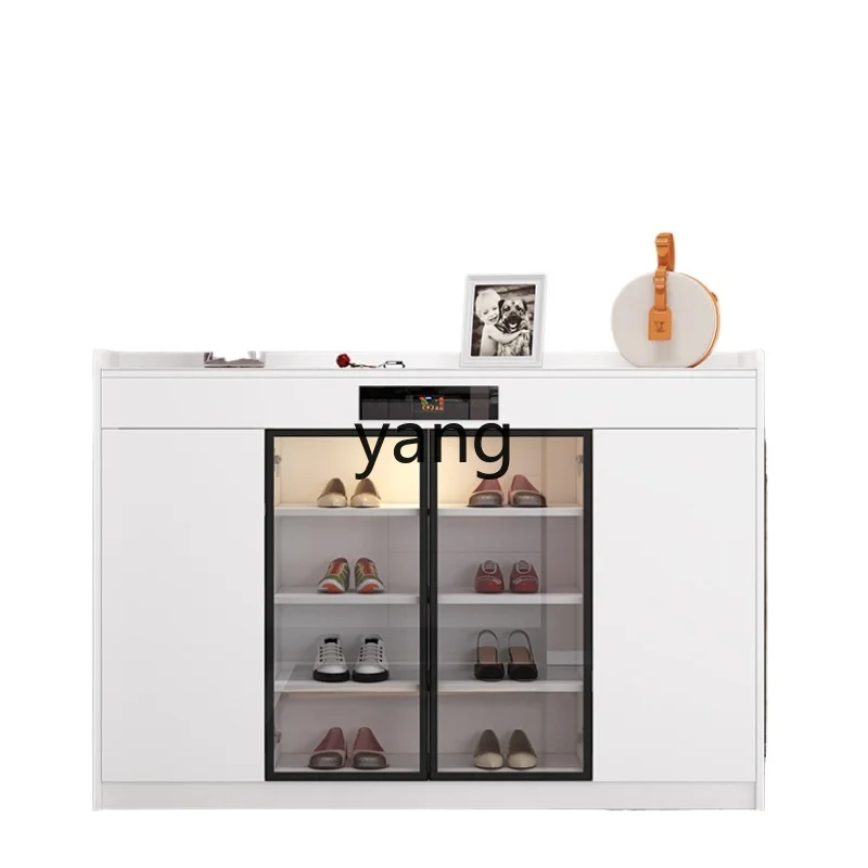 Входной шкаф Cxl встроенный 2021 новый интеллектуальный для дезодорации