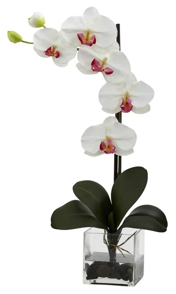 

Giant Phalaenopsis Orchid Vase Artificial Flower Arrangement in White