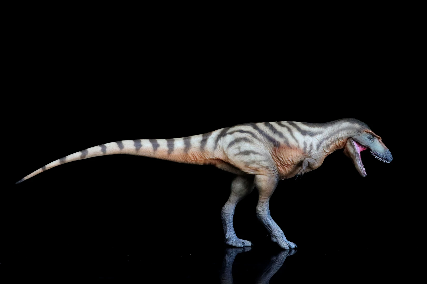Фото PNSO 71 Gorgosaurus модель Тристана тираннозавр доисторические животные наука динозавр Коллекция Декор подарок Детская развивающая игрушка №5