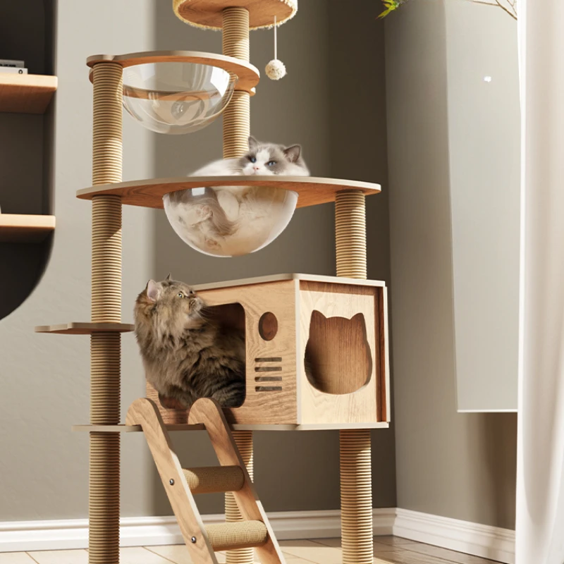 

Tower Accessories Scratchers Tree Toys Shelf Habitats Interactive Stuff Scratchers Bed Accessoires Chat Pet Products RR50FS