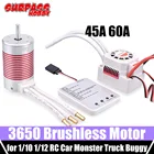 Непромокаемый бесщеточный двигатель Surpass Hobby, 3650 Платиновые двигатели, 60A 45A ESC для 110 112 машинок на радиоуправлении, монстр-Трак, багги Wltoys HSP