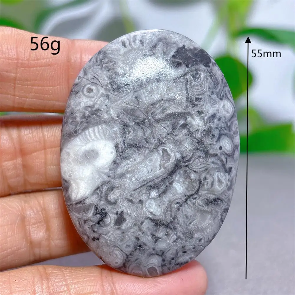 

Кристалл пальма