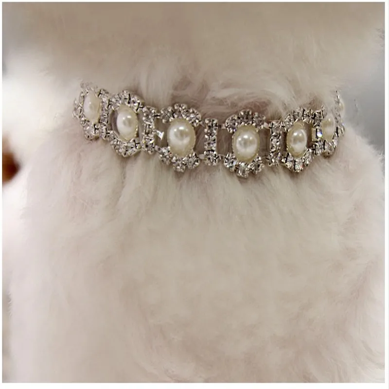 

Pet Cat Collar Necklace Dog Collar Pearl Necklace Jewelry Pet Collar Pet Supplies Pet Supplies Dog Collar Gato Puppy Collar