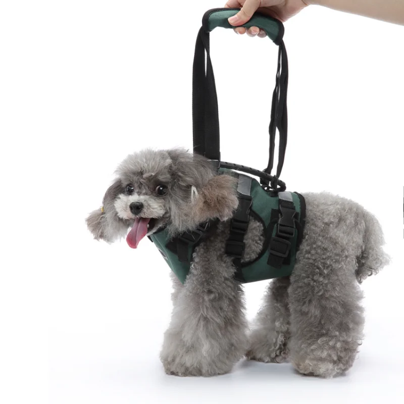 

Pet Supplies Wholesale Multifunctional Dog Chest Strap Leash Aged Pet Walking Aid with Body Belt