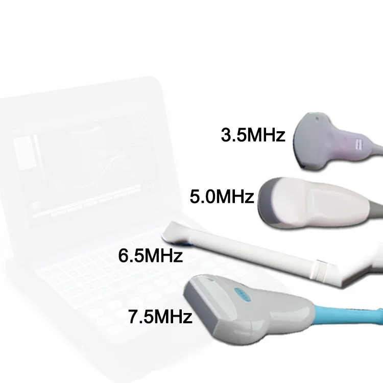 

CONTEC B-ultrasound probes&medical equipment machine