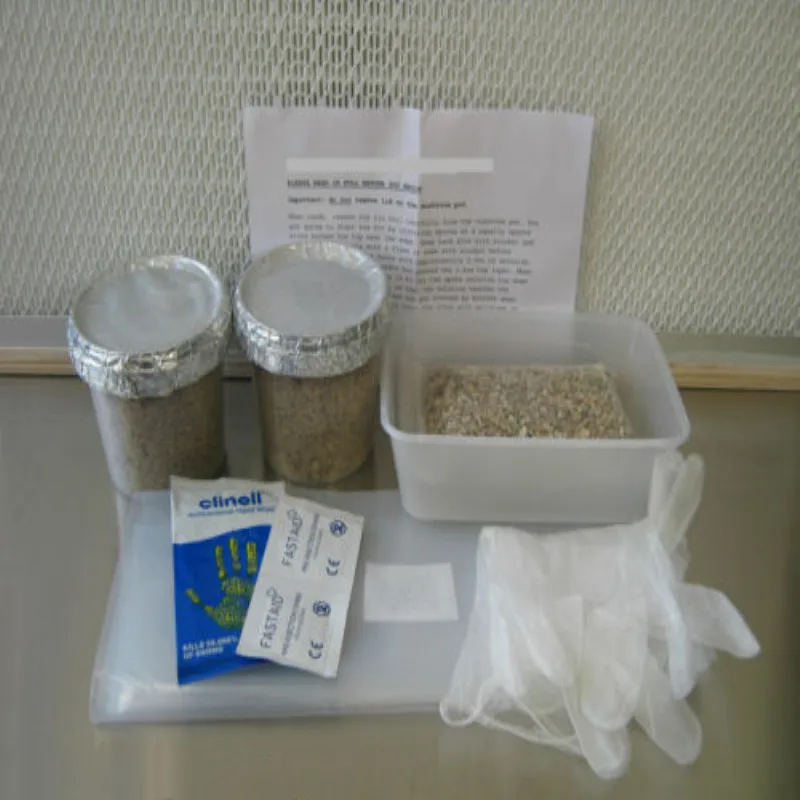 

Волшебная ферма oyster гриб Pleurotus ostreatus растущий набор-2x горшки для выращивания (большой размер)