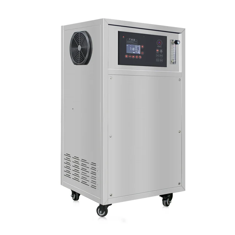 Генераторы озона Flygoo 3g/hr мини-генератор озонатор с воздушным насосом внутри