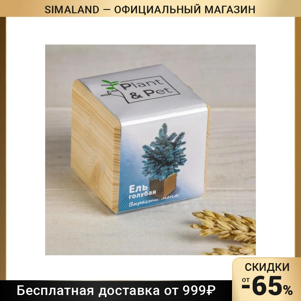 Набор для выращивания P&ampP "Ель голубая" 5418171
