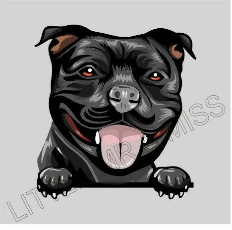 

For Staffordshire Terrier Staffy Amstaff Dog Window Wall Laptop w/prf Sticker