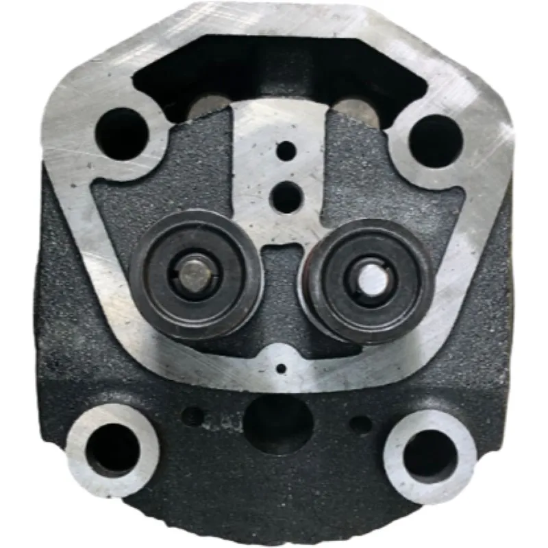 Cabeça de Cilindro Assy. com Válvulas e Molas Montadas para Zh185 Zh190 Zh190 Tempos Pequeno Motor Diesel de Refrigeração a Água