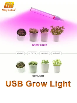 ультрафиолетовая лампа для кактусов