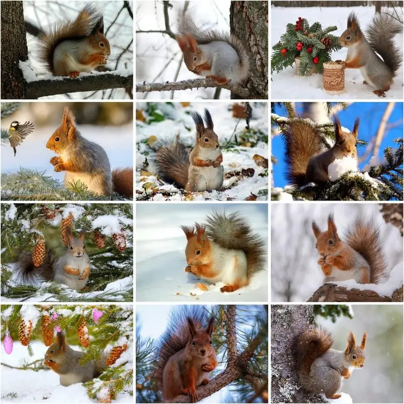 

CHENISTORY Diy Painting By Number Winter Animal Scenery For Adults Kits Handpainted Oil Squirrel Drawing On Canvas Home Decorati