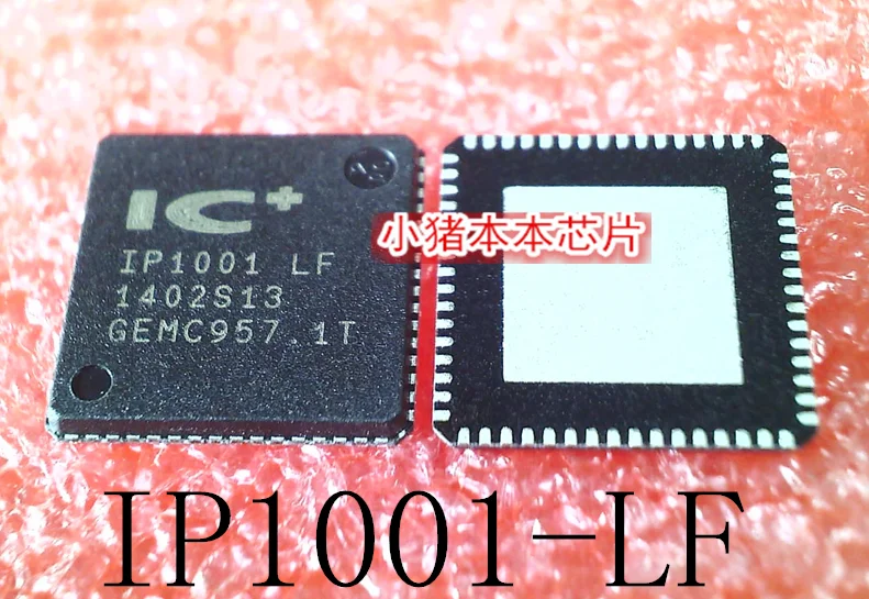 IP1001-LF IP1001LF IP1001 QFN