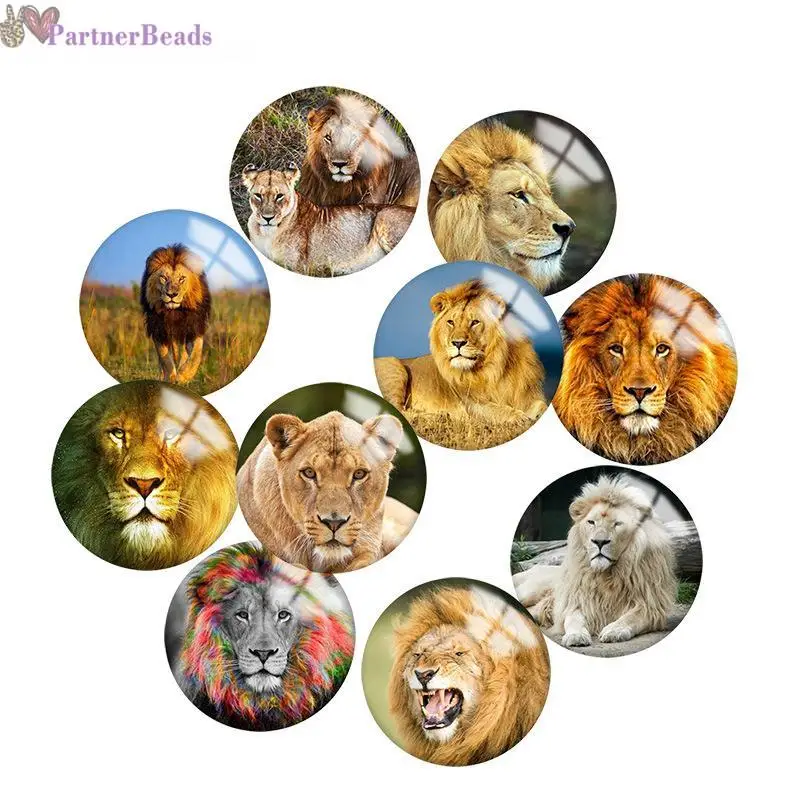 

Lion Round Photo Glass Cabochon Demo Flat Back Making Findings 20mm Snap Button N3181