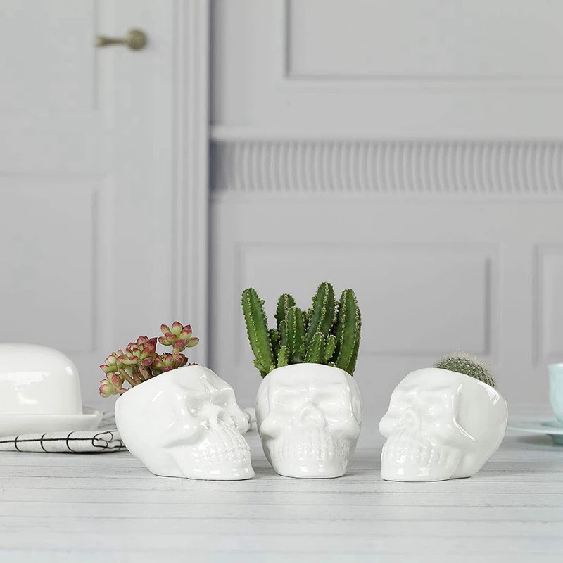 

White Ceramic Skull Shaped Succulent Planter Pots Set Of 3, Cute Cactus Plant Pot Creative Pen Pencil Holder For Home Office Des