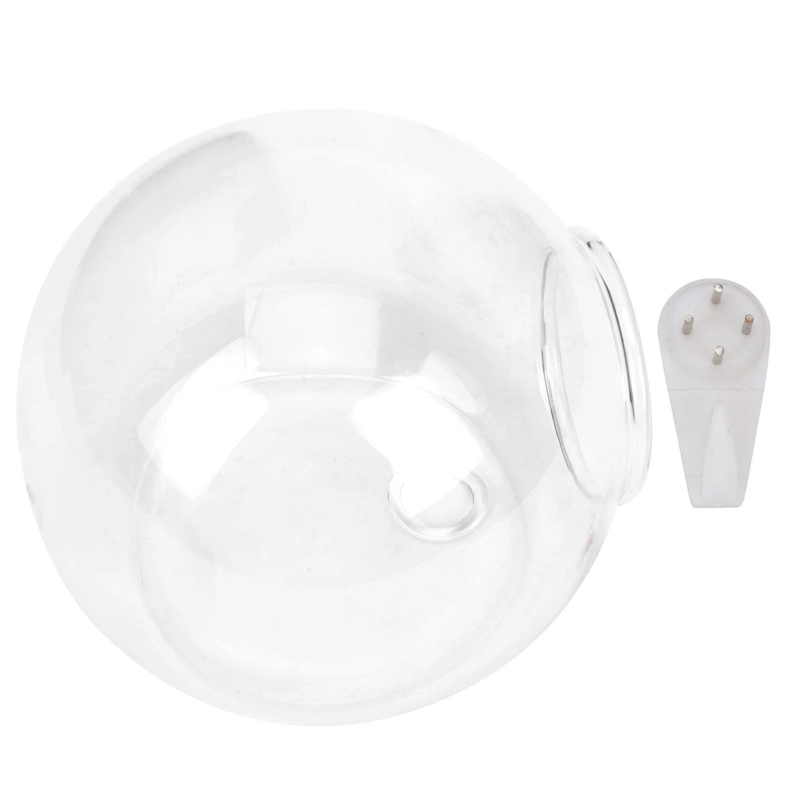 

Glass Vases Garden Water Bowl Hanging Glass Planter Orchid Planter Circle Vase Glass Flower Vase Round Suspending Glass Vase