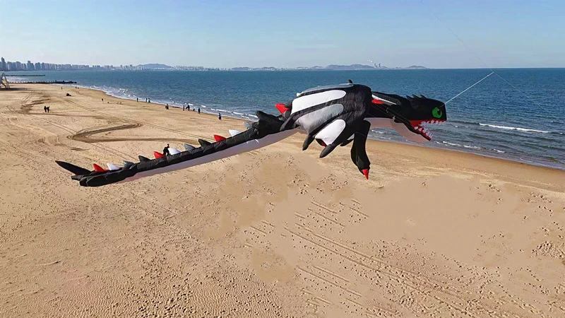 Гигантские мягкие воздушные змеи 13 м черного дракона летающие профессиональные