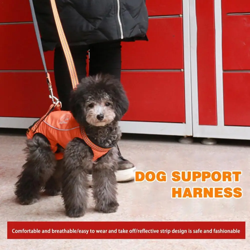 

Рюкзак для собак для пожилых людей с ограниченными возможностями, уличная дорожная сумка для маленьких собак, щенков, дорожный ранец P8x9