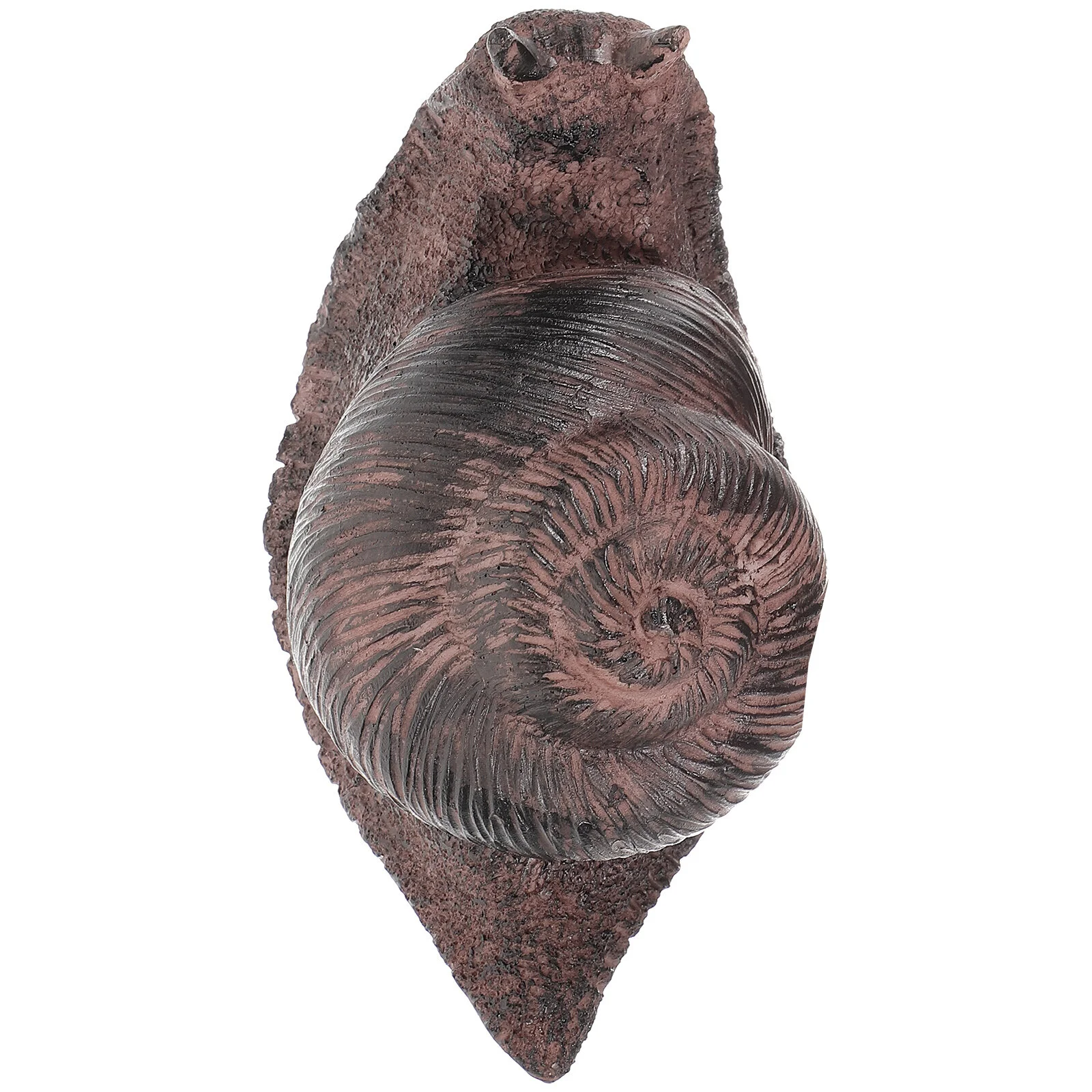 

House Front Yard Decorations Outdoor Simulated Appearance Key Hider Spare Keys Storage Case