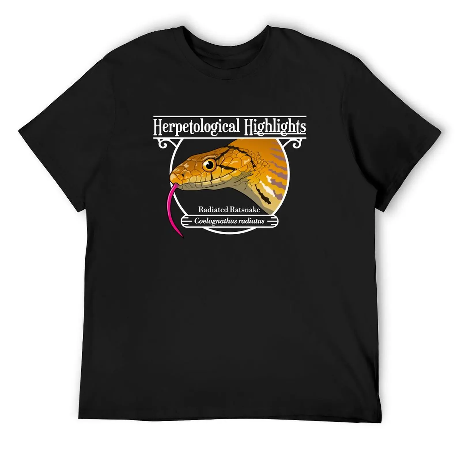 Радиационный крысык - белая футболка Coelognathus Radiatus новое издание дешевые