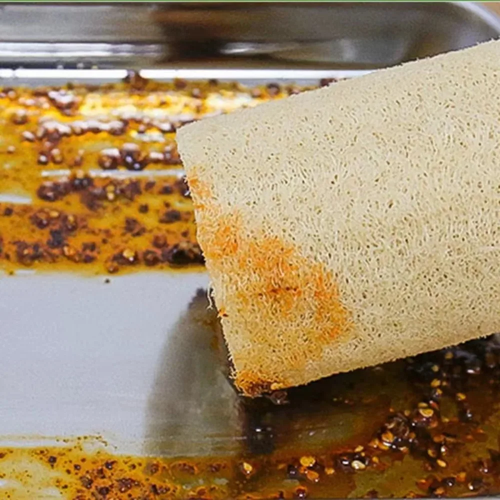 1 шт. губка-скребок из люфы