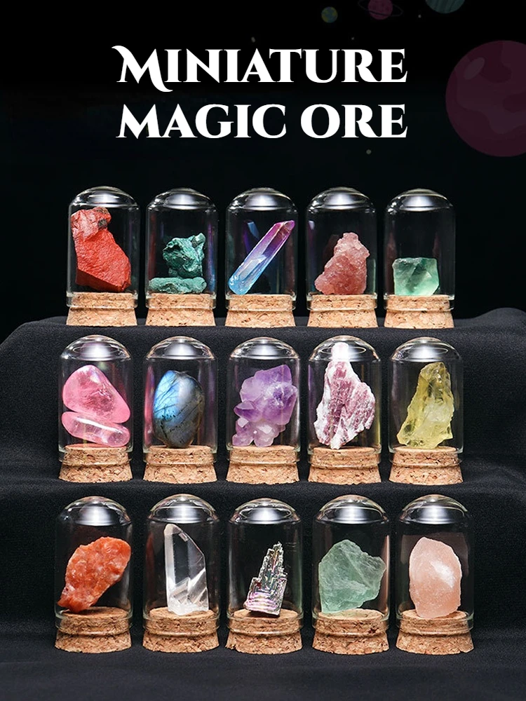 

Natural Mixed Ore Miniature Natural Stone Animal Fossil Specimens for School Geology Education Home Decoration Children's Gifts