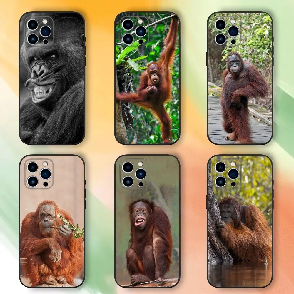 Чехол для телефона Monkey Sipping baboon iPhone 16 15 14 13 12 11 Plus Pro Max XS XR SE Mini 8 7 мягкий силиконовый