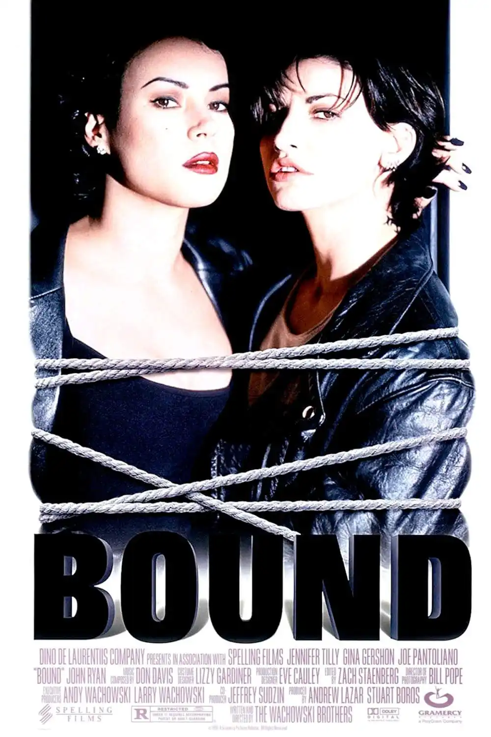 

Шелковый плакат "Hot Rare Movie Bound (1996)"