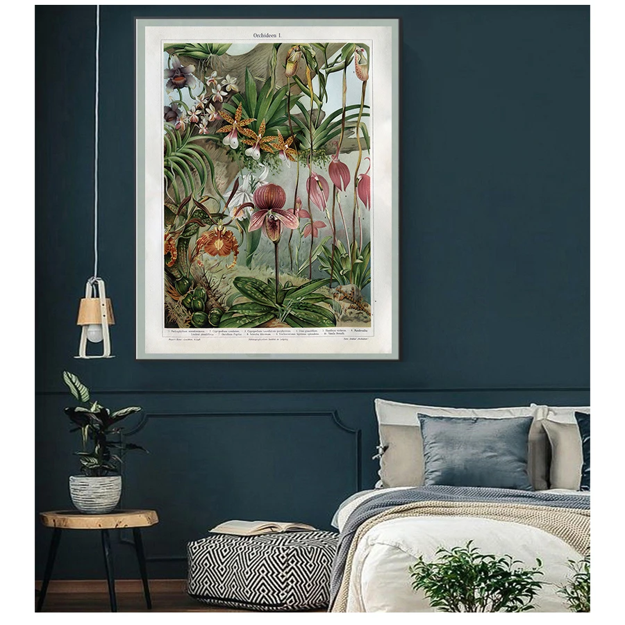 

Botanical Poster Canvas Prints Snapdragon Antique Flowers Plants Wall Art Painting Picture Home Room Decor Orchids Late 1800s