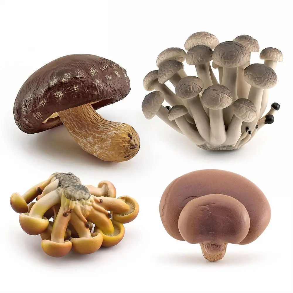 Овощная модель фигурки грибов Matsutake Oyste пейзажные миниатюры имитация обучающая