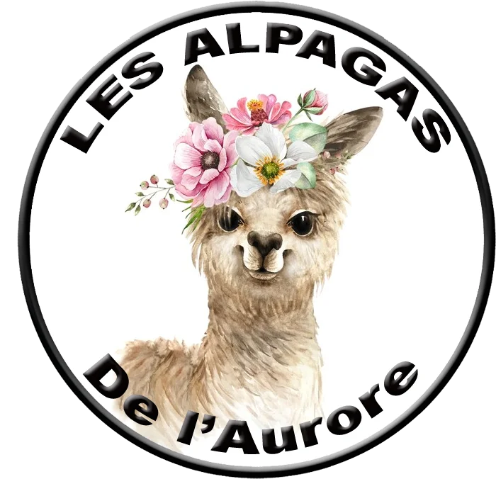 

Beautiful Car Sticker Custom Printing Fashion Waterproof Decal Vinyl Material Scratch-proof