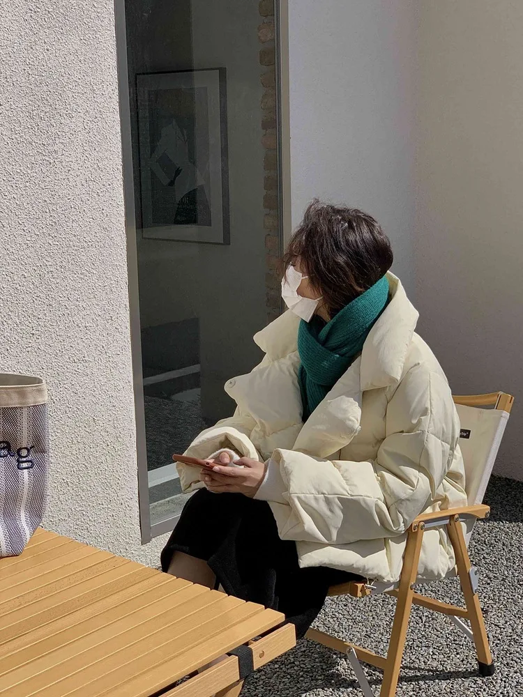Korean Version of The Loose Stand Collar Thickened Down Jacket Women's Winter Small Popular New Thin Short Jacket Puffer Jacket