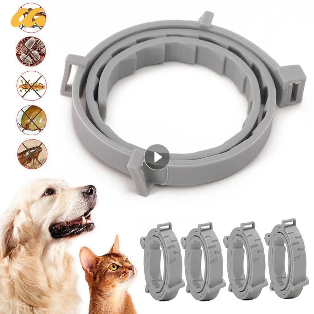 

Раздвижной ошейник для домашних животных, ожерелье от блох и паразитов до 8 месяцев, персонализированный ошейник от блох и клещей для щенков, кошек, больших цветов