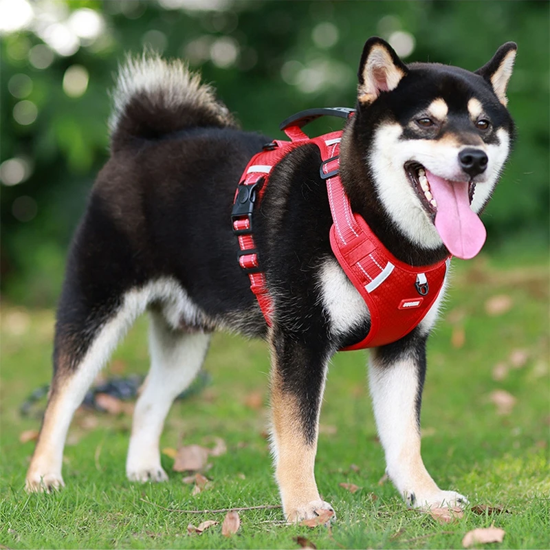 

Large Dog Harness Vest Adjustable Pet Walking Lead Leash Puppy Cat Collars Harness for Large Medium Dog Pet Harness Accessories