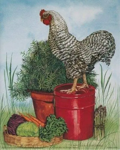 

Настенный декор, Плимут, камень, петух, курица, художественный плакат, металлический жестяной знак 8x12 дюймов, для дома, кухни, спальни, бара, з...