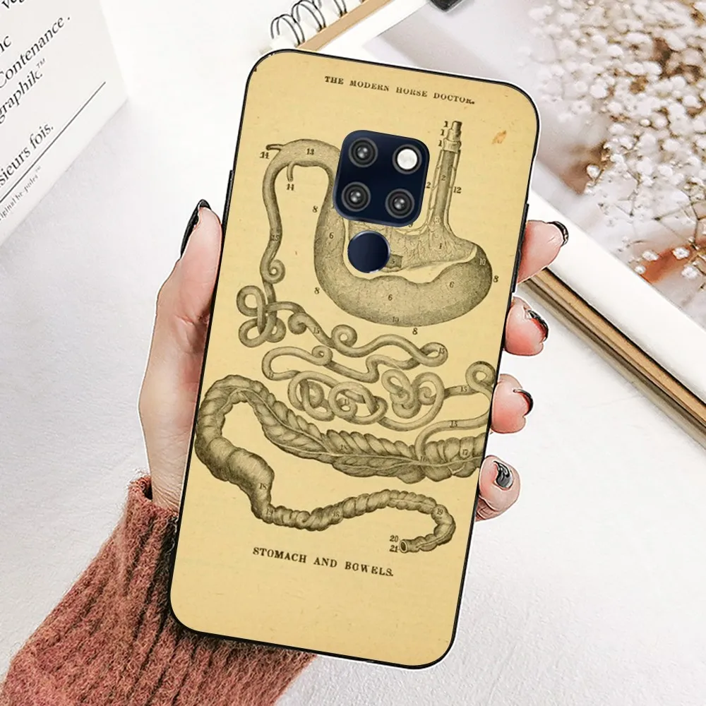 Медицинский чехол для телефона с анатомии человека Huawei Mate 10 20 30 40 50 Lite Pro Nova 3 3i 5 6 SE 7
