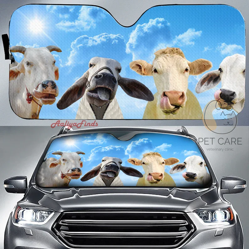 

Brahman Smile Auto Sun Shade Gift Ideas 2022