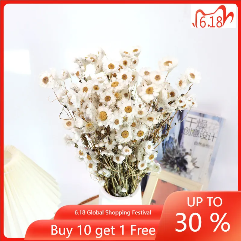 

Preserved Fresh Flower Home Decoration Real Flower Ludan Bird Rhodanthe Bouquet Diy Flower Material