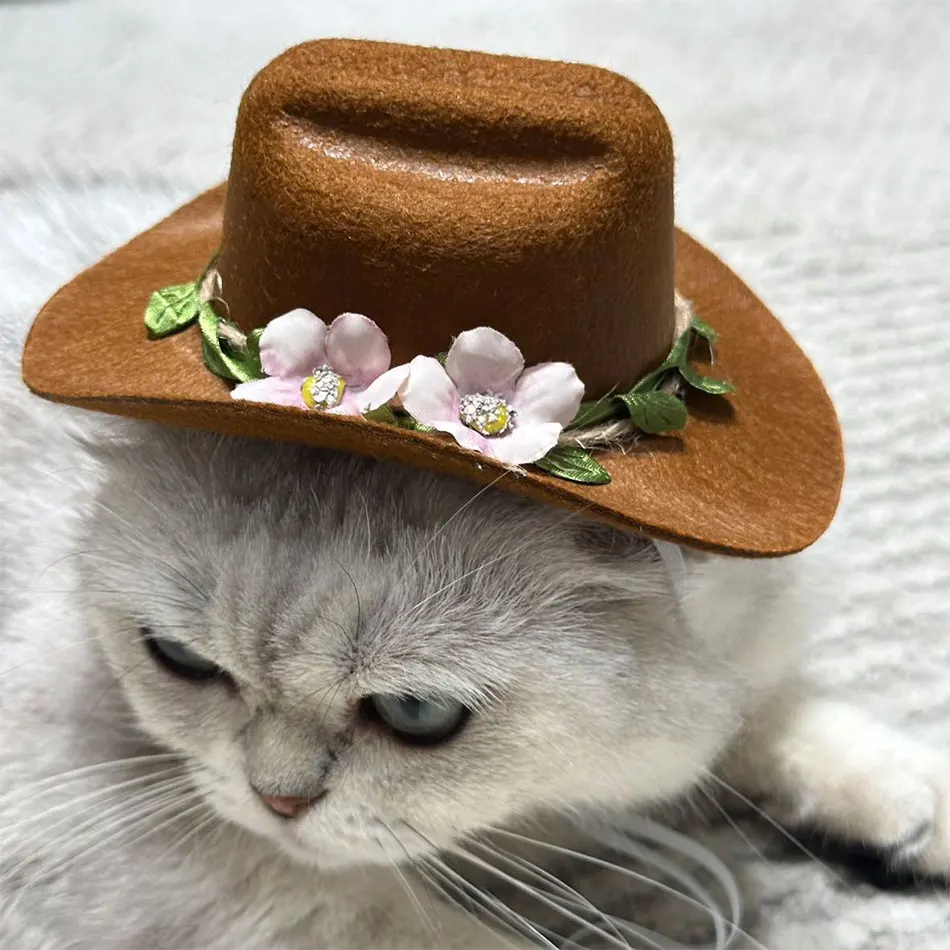Очаровательная Мини-ковбойская Шляпа С Перьями Для Домашних Животных —