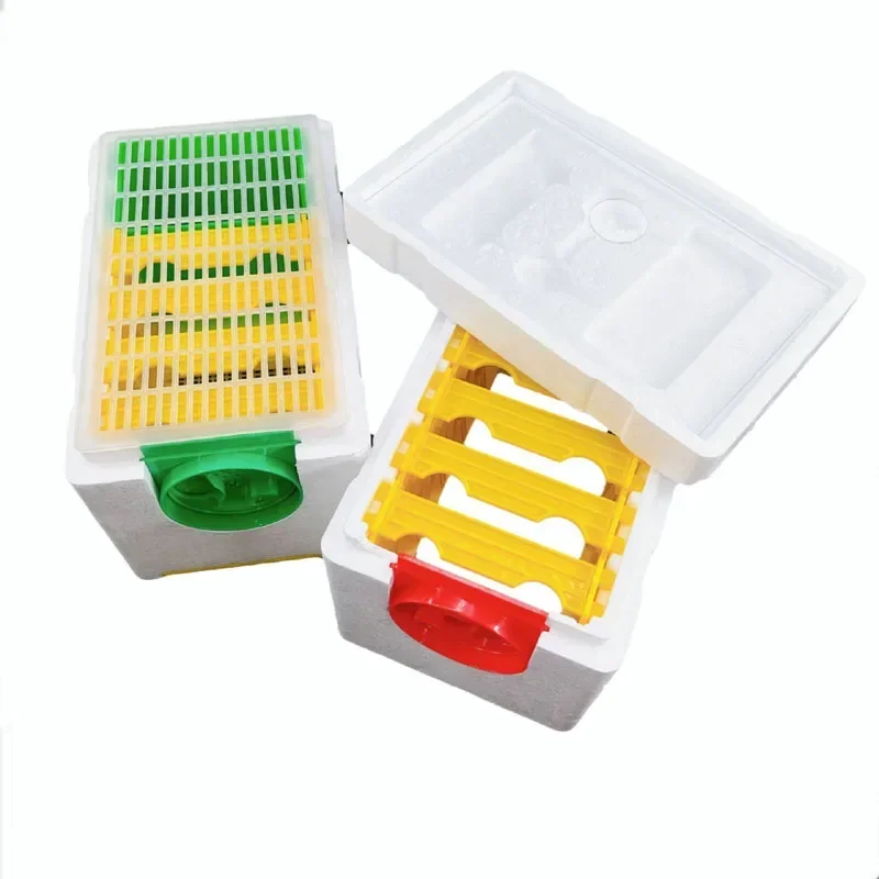 

Двухслойная коробка для выращивания маток пчел Queen Bees