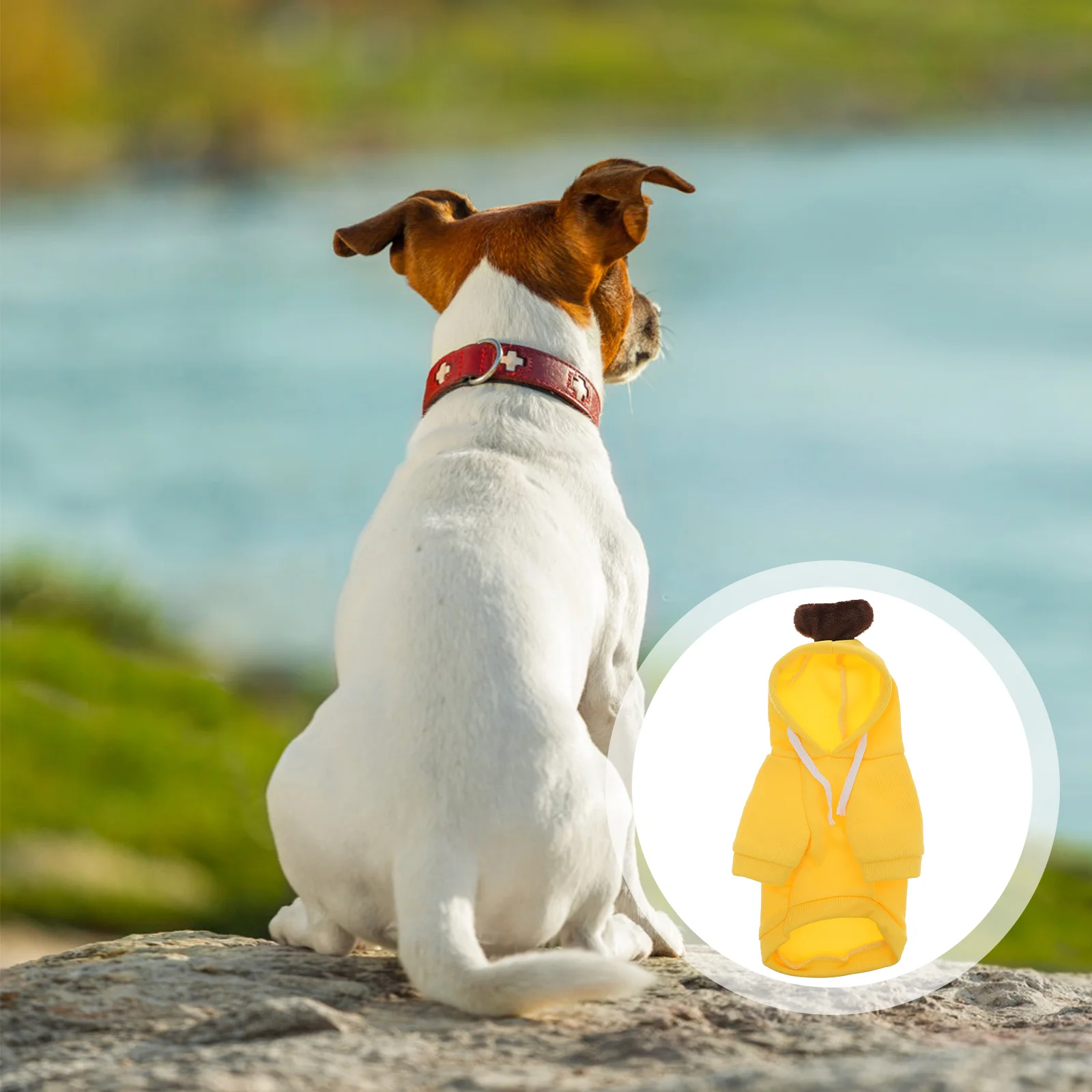 

Puppy Garment Party Cloth Costume Cat Coatume Novelty Clothes Costume