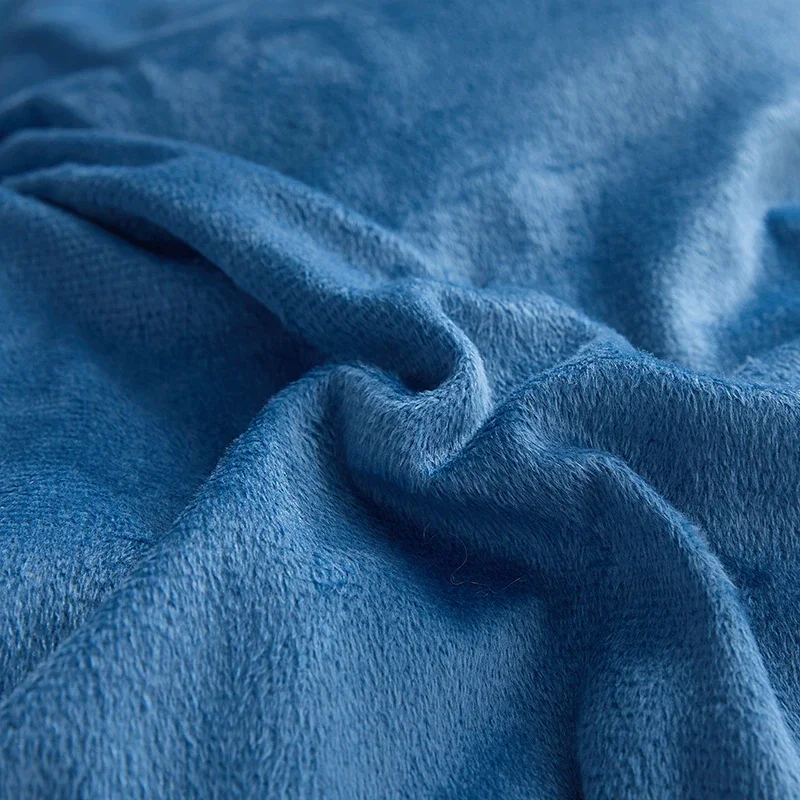 Autumn and winter quilt vacuum lamb's wool thickened warm dormitory shipping student bedding