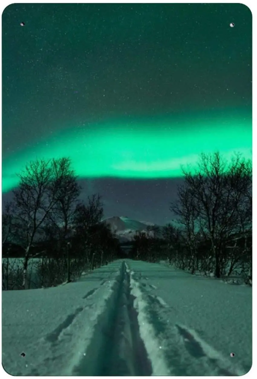 Винтажный жестяной знак Viohik деревенский домашний декор пересеченная местная