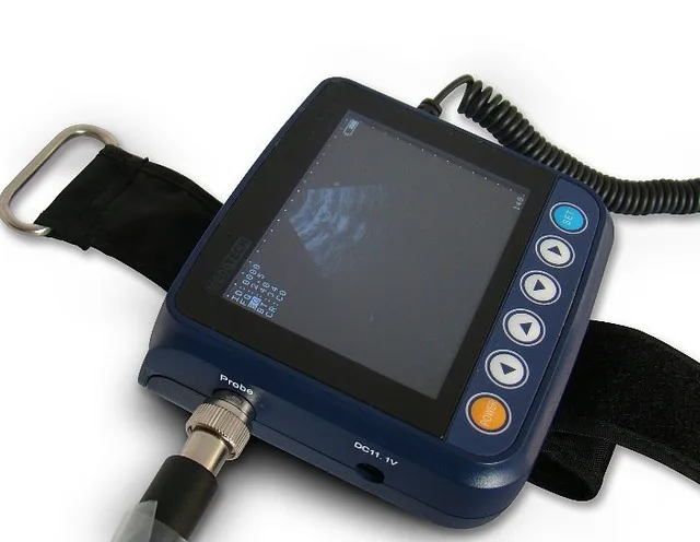 

ISO & ce approved wrist (handheld ) veterinary ultrasound scanner