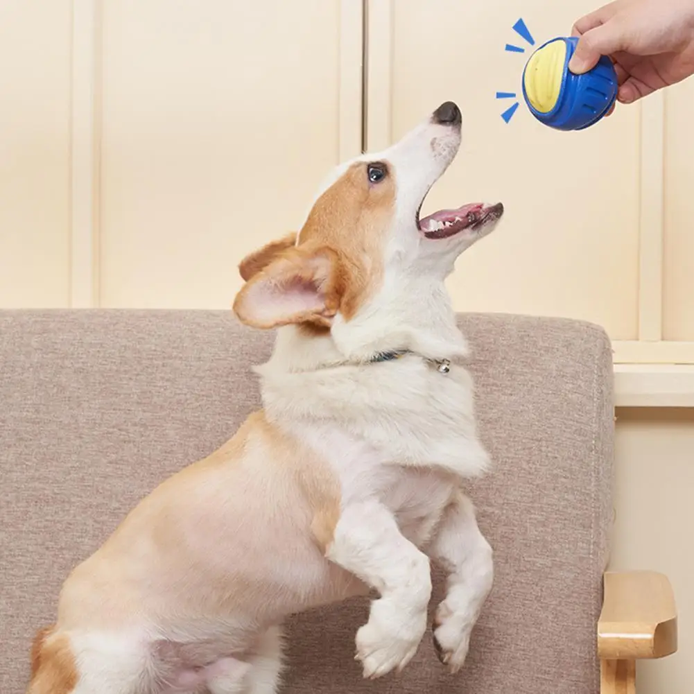 

Практичный плавающий мяч для собак, игрушки для домашних животных без запаха, резиновый мяч для собак, мяч для прорезывания зубов