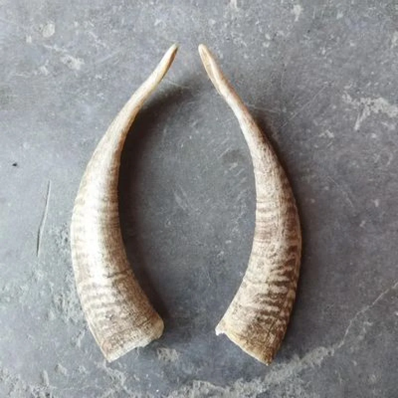 

Настенные украшения из козьих углов